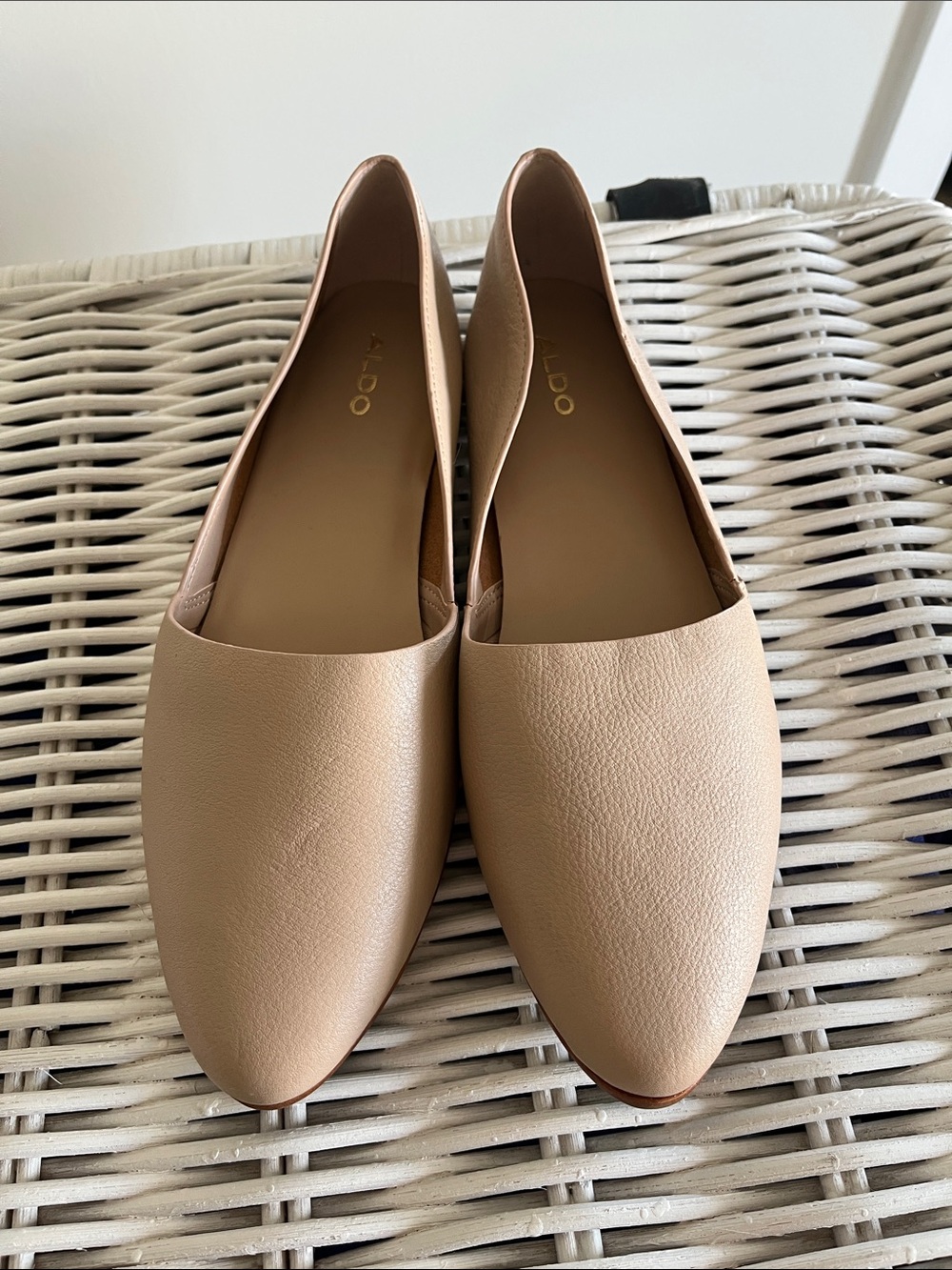 Aldo Blush Nude Pointed-Toe Leather Flats